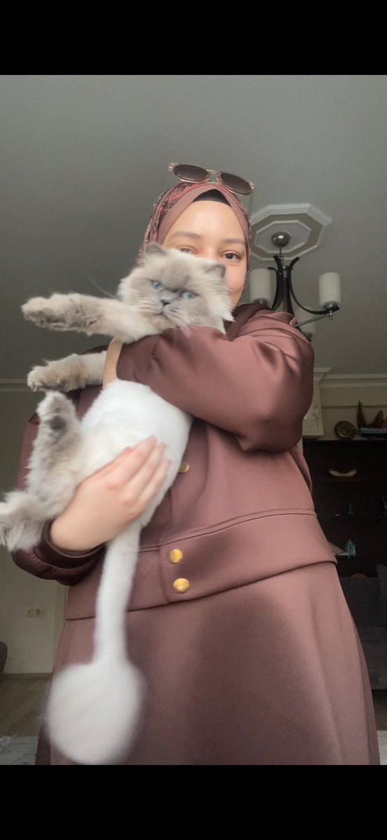 Ağzı burnu yenmelik bir kedi bırakıyorum 🥰🤎🥳