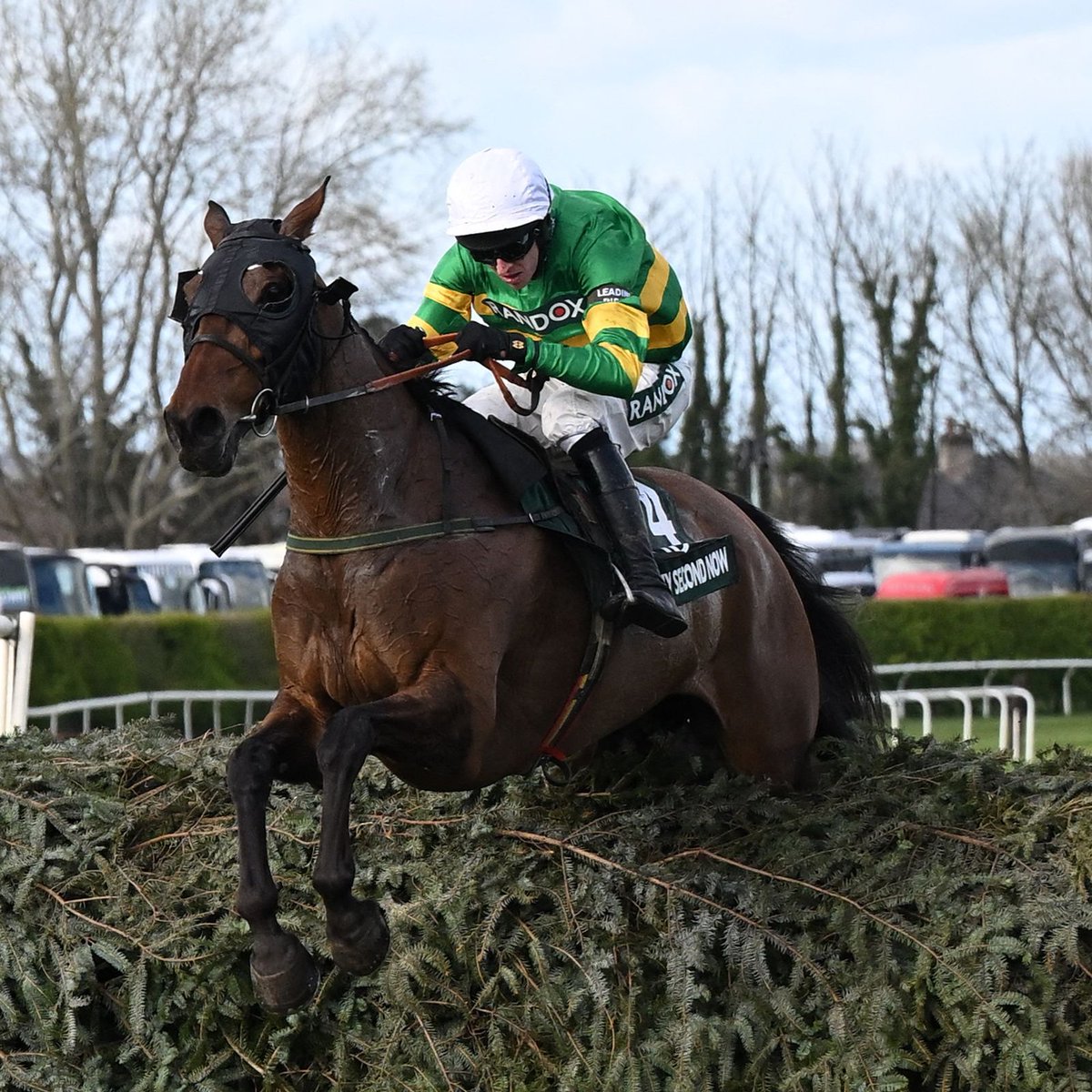 Ted Walsh has confirmed Any Second Now will be retired 💚💛

41 races under rules since making his debut in 2016 🐎

What a career he's had 👏