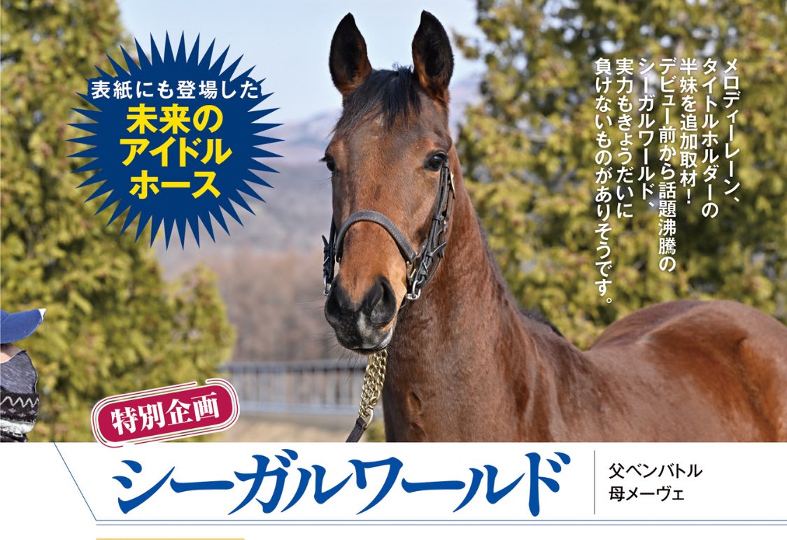 競馬王のPOG本」は、いよいよ本日発売！ 今日は目次を掲載させて