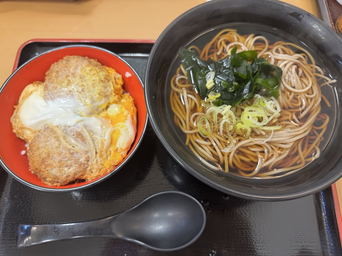 季節の変わり目で体調崩しがちだけど、そんなときこそ食べれる時に食べて寝る時に寝るに限る。

これは庶民の味方、富士そば様の神セット。