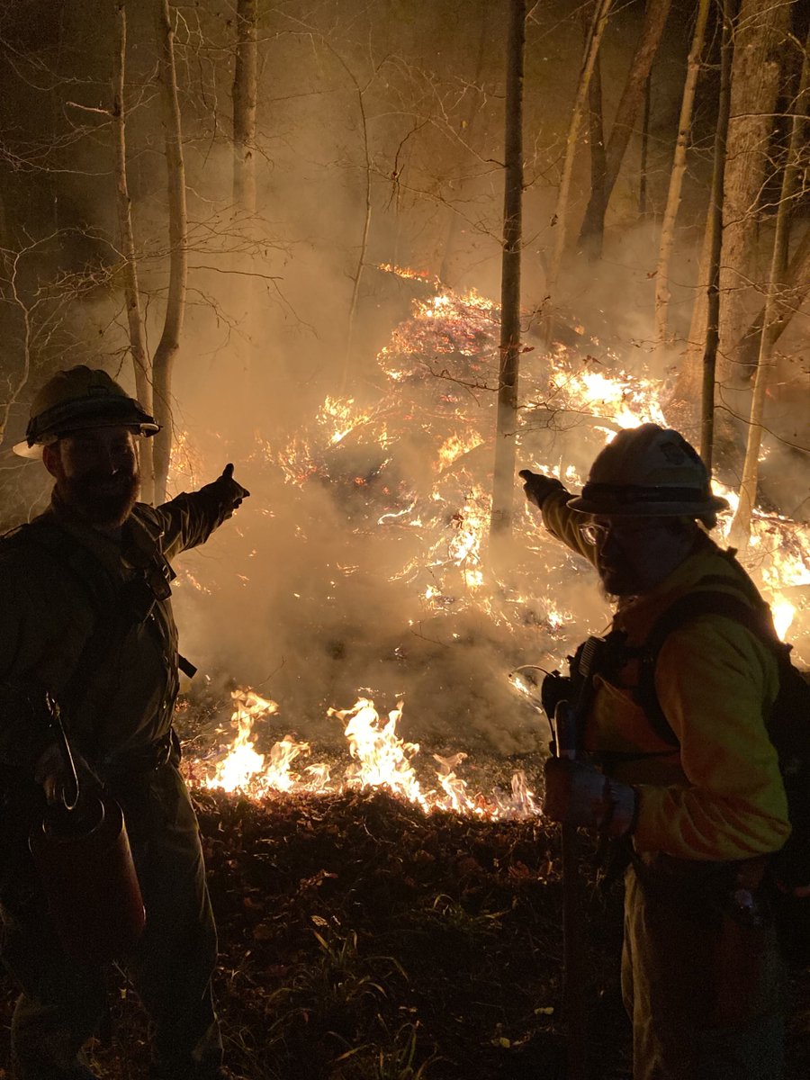 USFWS Fire (@usfwsfire) on Twitter photo We are #hiring a GS-7 wildland firefighter (fuels) in our <a href="/usairforce/">U.S. Air Force</a> Wildland Fire Program @ Joint Base McGuire-Dix-Lakehurst in NJ to support wildland fire mgmt on military installations
Apply by 4/30 ➡️ bit.ly/42FbwGw
#NotYourOrdinaryJob #FireJob <a href="/USFWSCareers/">U.S. Fish and Wildlife Service Careers</a> We are #hiring a GS-7 wildland firefighter (fuels) in our <a href="/usairforce/">U.S. Air Force</a> Wildland Fire Program @ Joint Base McGuire-Dix-Lakehurst in NJ to support wildland fire mgmt on military installations
Apply by 4/30 ➡️ bit.ly/42FbwGw
#NotYourOrdinaryJob #FireJob <a href="/USFWSCareers/">U.S. Fish and Wildlife Service Careers</a>