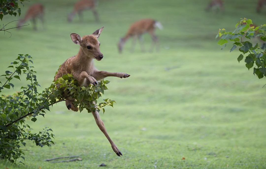 Bro is TOO OLD to still be in the nest