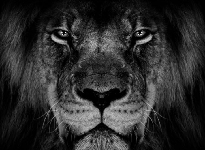 IceColdBluePow's tweet image. #RapeKappaSig