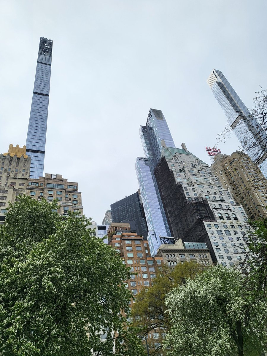 LuciusLou 💫 tweet media