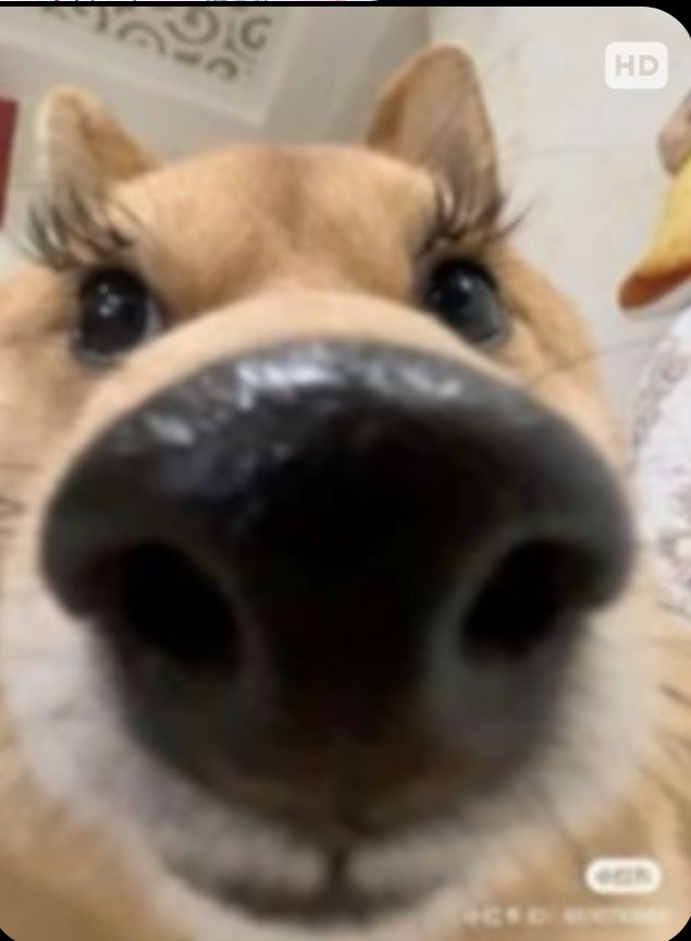 子爱YCE (@iniaowxiz) on Twitter photo 