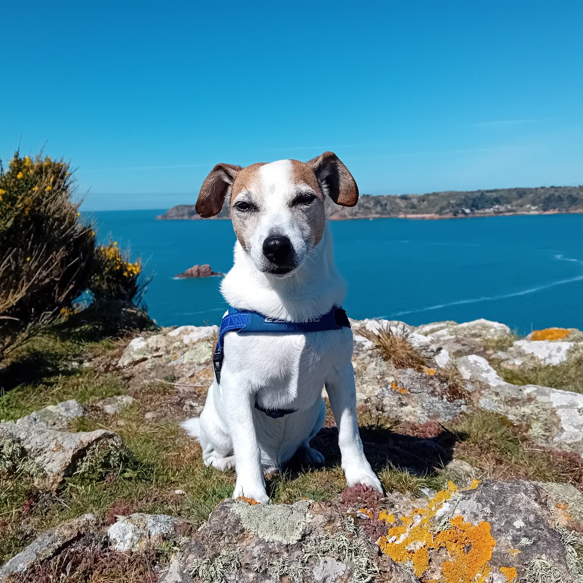 Cracking end to the weekend 👌 Yup Sammie was quicker on the trails 😂 #Jersey