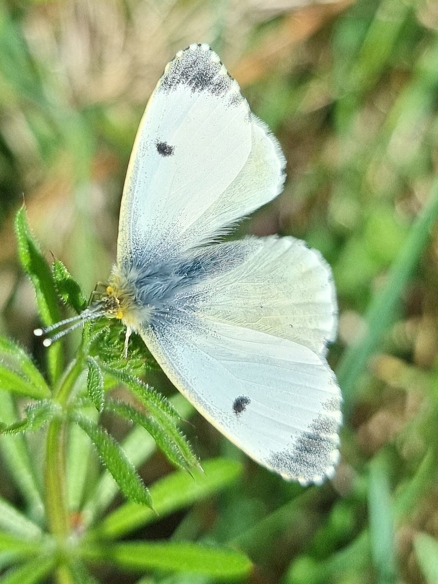 respecting nature tweet media