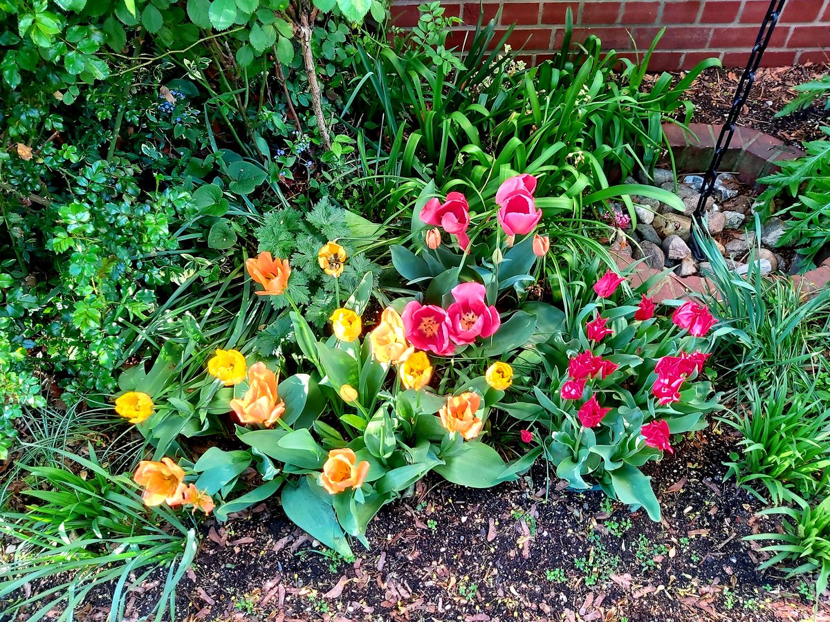 Spaziergang in den vergehenden Sonnenstrahlen.