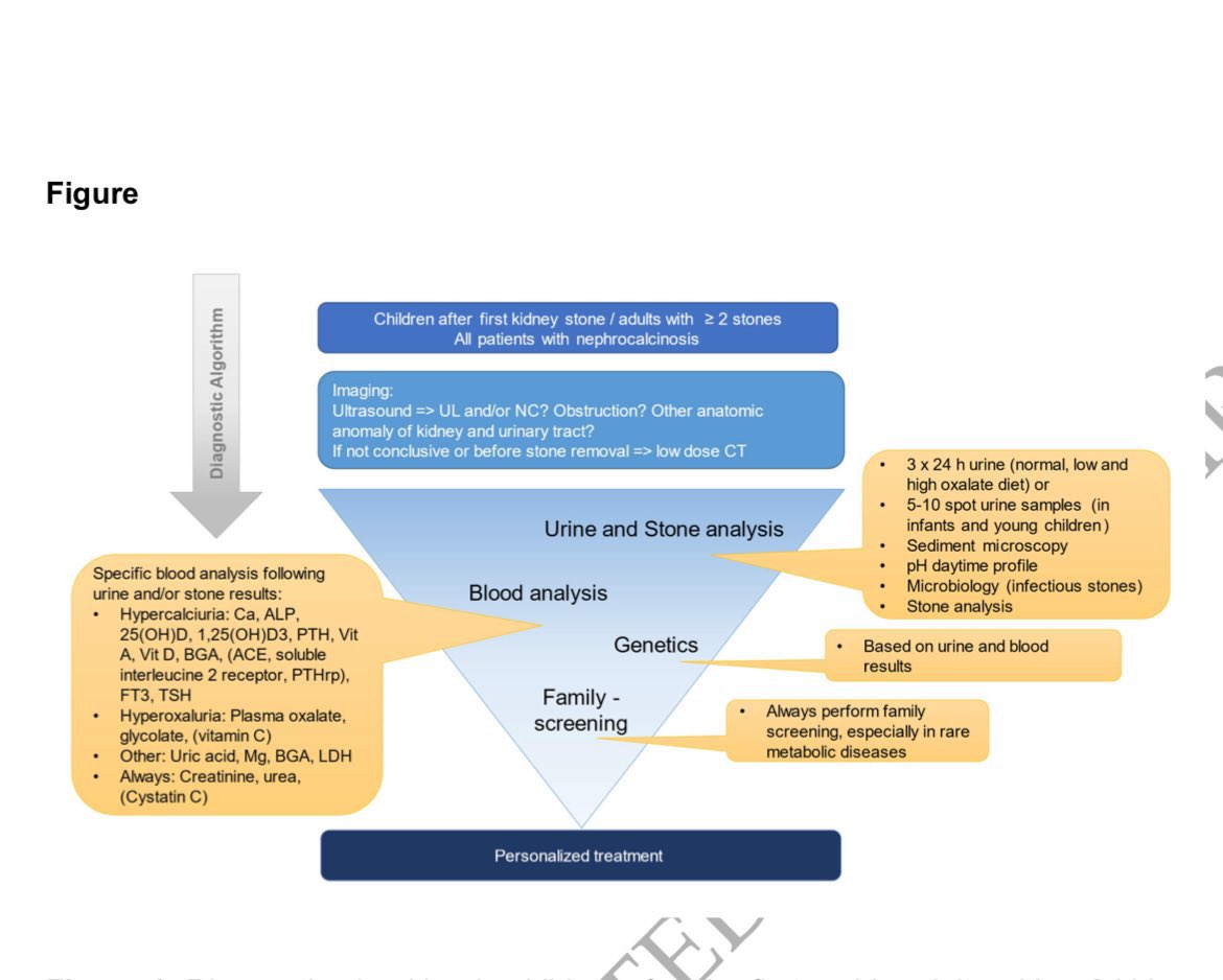 💎🫘Evaluation of renal stone disease in adults 

Stone analysis 🧐 

Blood 🧪 labs 

Genetics 🧬 

academic.oup.com/ndt/advance-ar…

<a href="/NDTsocial/">NDT</a> <a href="/hjanders_hans/">Hans-Joachim Anders</a>