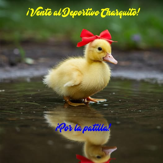 CD_Charquito's tweet photo. ¿Quieres formar parte del Deportivo Charquito?
Hemos creado una membresía de acceso a nuestro club.
Por cero euros, al año. https://t.co/74WrnHzGb0