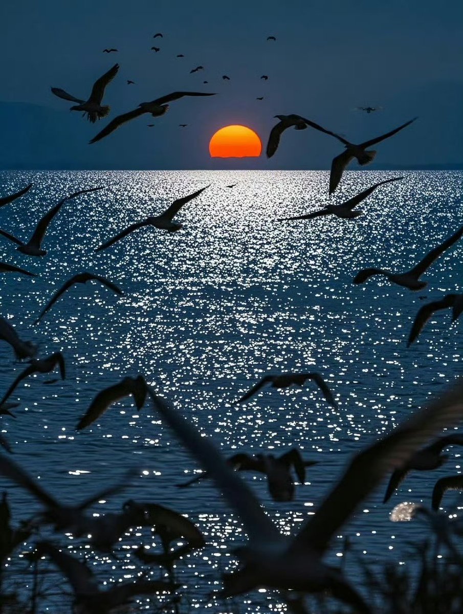 落霞与孤鹜齐飞，秋水共长天一色。#大美中国🇨🇳