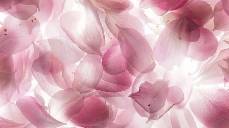 deersoob's tweet image. hi yall!! here some of my interests, I'm looking for moots :)

music: beabadoobee, bibi, argentinian rock, bts, dean, dpr, twice, lessera fim, new jeans, pinkpantheress, red velvet

hobbies: study, crochet, gym, drawing, singing, watching movies, makeup, clothing!!