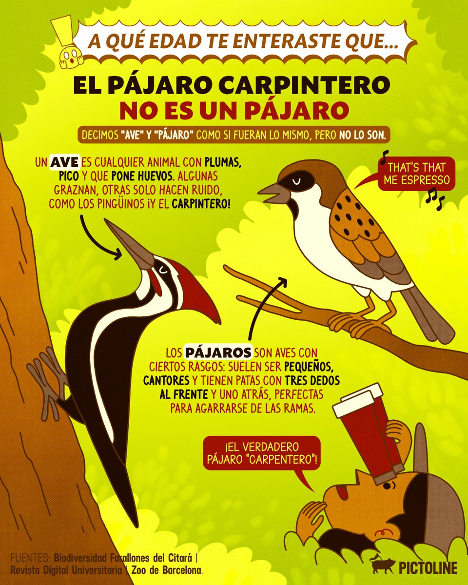 🤡  Cuando descubres que el pájaro carpintero no es pájaro 🙃

#CuriosidadesAnimales #Aves #PájaroCarpintero #DatosQueNoSabías #MundoAnimal #Pictoline