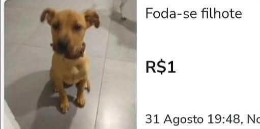 Sebastian ♦️ tweet media