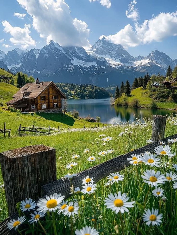 LUSH ENVIRONMENT (@nature_views5) on Twitter photo 