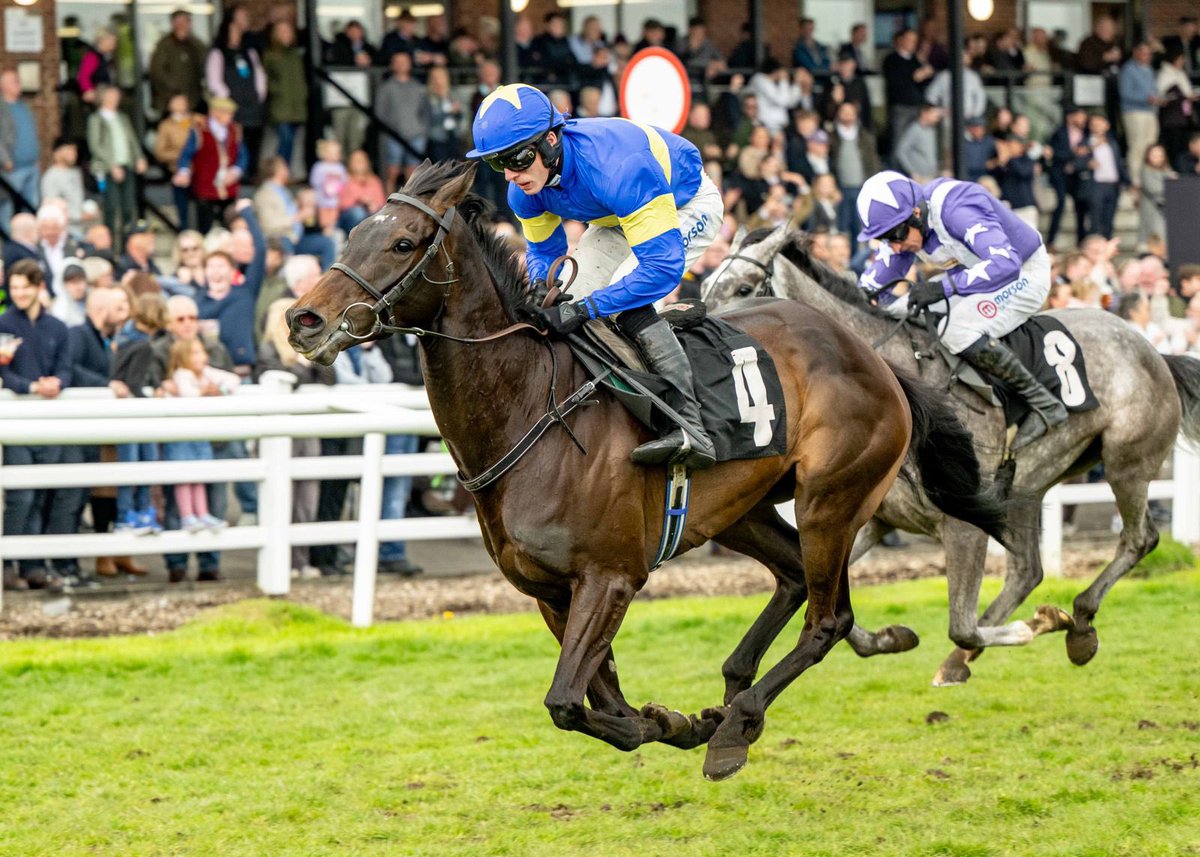 plumptonraces's tweet photo. Todays final race, The BetGoodwin Free Bet In Nose Losers Open National Hunt Flat Race has been won by Emerald Poet and Harry Cobden for W.P Mullins and Ms Eleanor Manning https://t.co/63ThCcdJ5E