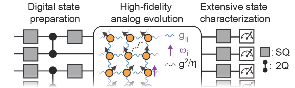 GoogleAI's tweet image. Today on the blog we describe a novel hybrid digital–analog approach to quantum simulation that we used to emulate quantum behavior of a magnet, resulting in a notable scientific discovery and new possibilities for beyond-classical applications. More at goo.gle/3EwmZjG
