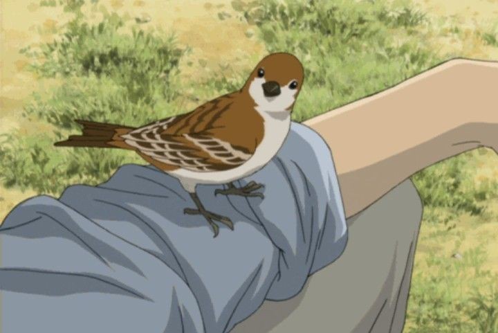 monsterdaiIy's tweet photo. 🐦 https://t.co/cObrFEd9d4