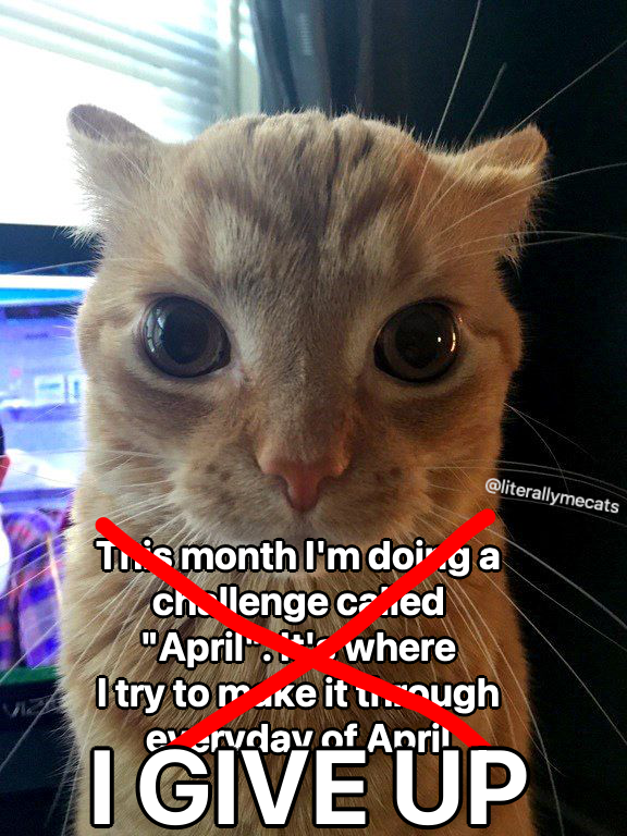 literallymecats's tweet photo. https://t.co/NXfGXYlLM4