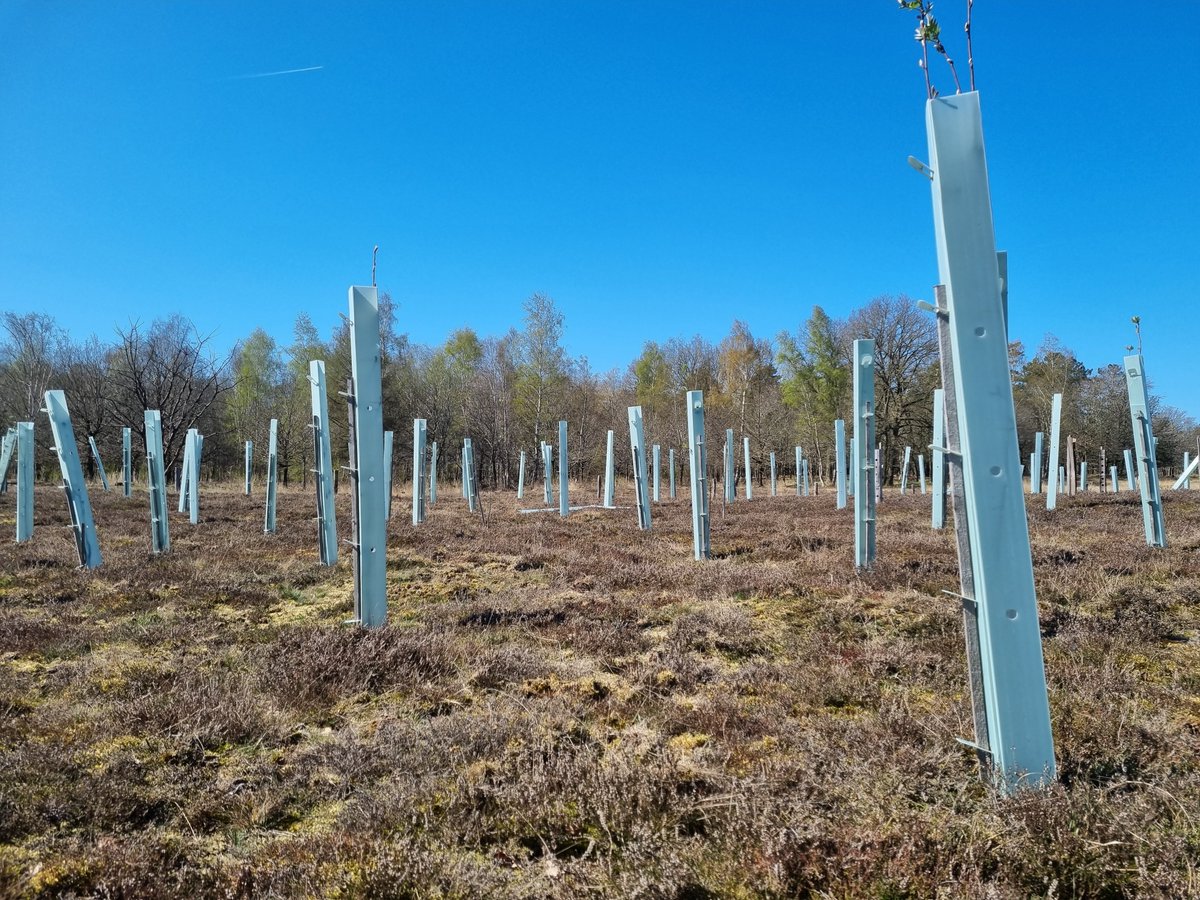 GRotgers's tweet image. Nederland wil nieuwe doelen stellen aan de natuur. De conceptdoelen liggen nu ter consultatie. De eisen die Nederland stelt voor 2030, worden door Europa pas gesteld na 2050.   

Een overzicht van nieuwe nationale koppen op EU-regels:     stichtingagrifacts.nl/nieuwe-nederla…