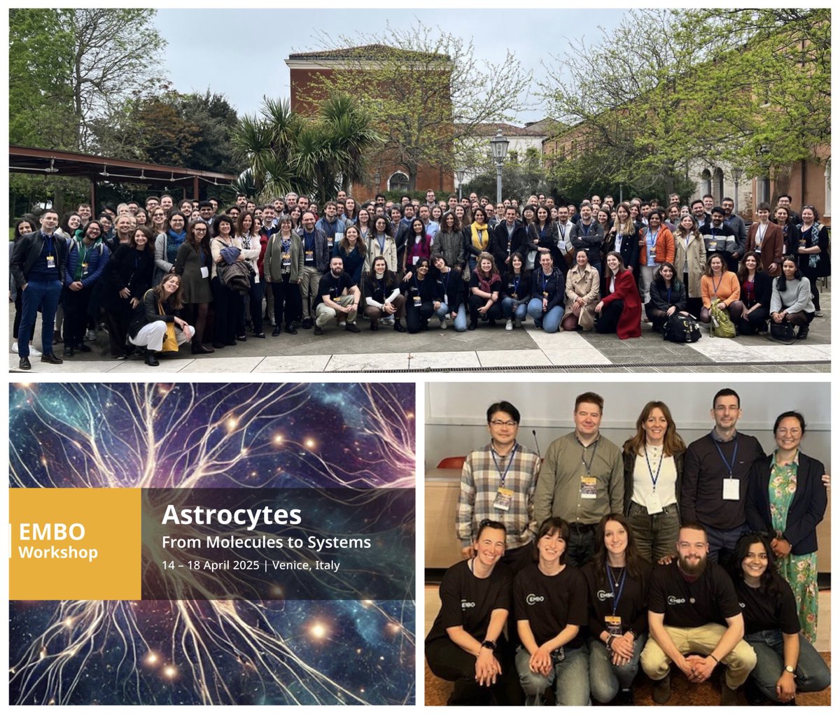 Maurizio De Pittà (@mdepitta.bsky.social) (@m_depitta) on Twitter photo The first <a href="/EMBO/">EMBO</a> #Astrocyte #Meeting was a success. Thanks to our engaging lineup of excellent speakers, brilliant trainees & essential <a href="/DiBio_UniPD/">Department of Biology – University of Padova</a> volunteers. Looking forward to the next iteration! <a href="/LauCiviero/">Laura Civiero</a> <a href="/theOlgaSin/">Olga Sin</a> <a href="/wonsukchung/">Won-Suk Chung</a> Matthew.Holt The first <a href="/EMBO/">EMBO</a> #Astrocyte #Meeting was a success. Thanks to our engaging lineup of excellent speakers, brilliant trainees & essential <a href="/DiBio_UniPD/">Department of Biology – University of Padova</a> volunteers. Looking forward to the next iteration! <a href="/LauCiviero/">Laura Civiero</a> <a href="/theOlgaSin/">Olga Sin</a> <a href="/wonsukchung/">Won-Suk Chung</a> Matthew.Holt