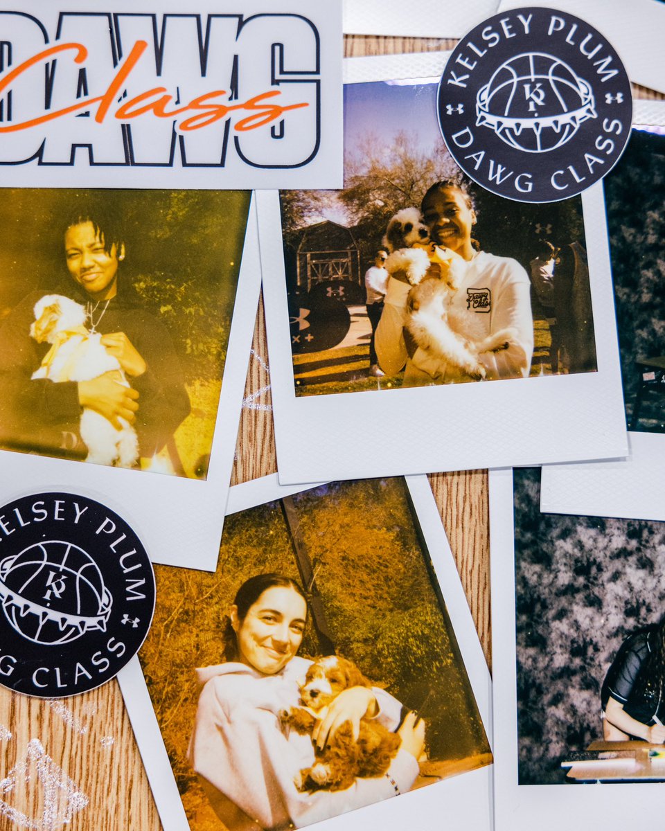 The weekend on Polaroid 📸