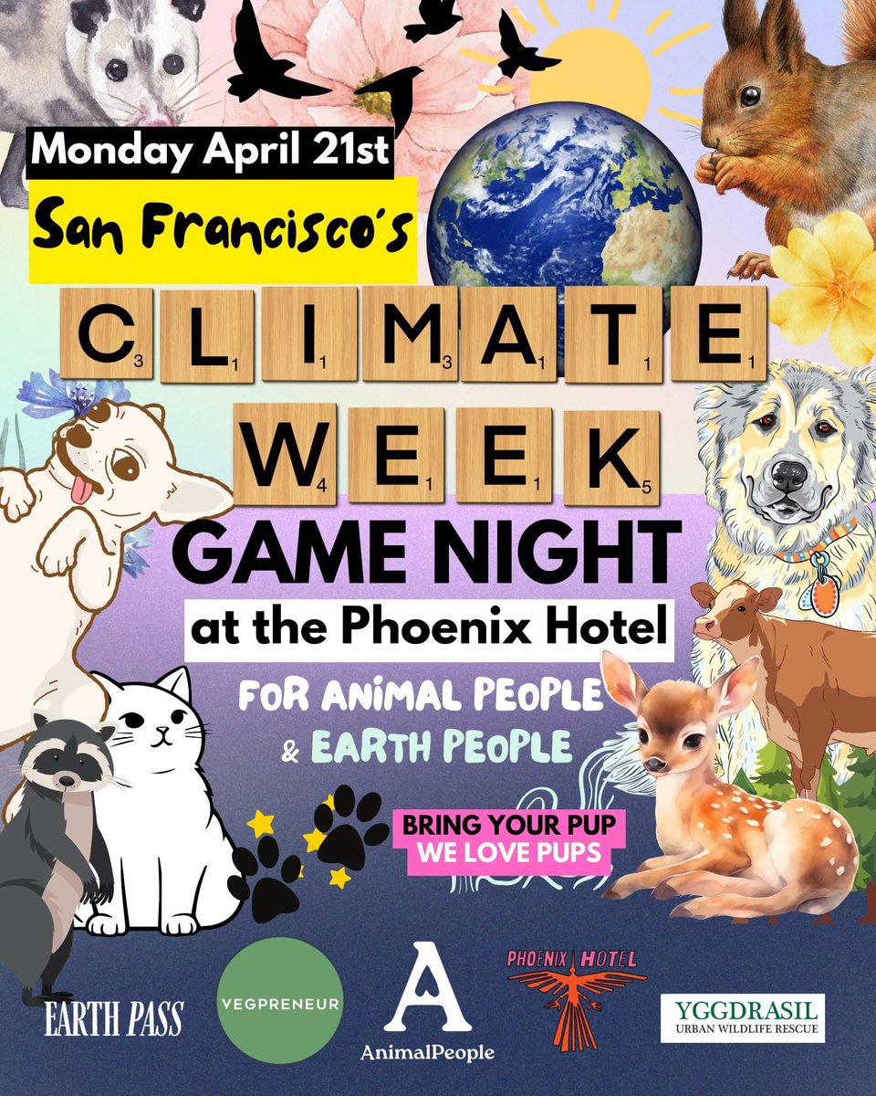CHAMBERSsf's tweet photo. Coming down off that post-4:20 high?
Here’s a solid way to spend your Monday night: pups, planet-friendly people, games (if you’re into that), plant-based eats, and cocktails. Starts at 6:30. Bring your dog...or just come meet some good ones. 🐶🌎🃏 https://t.co/ONgfLJOgcE