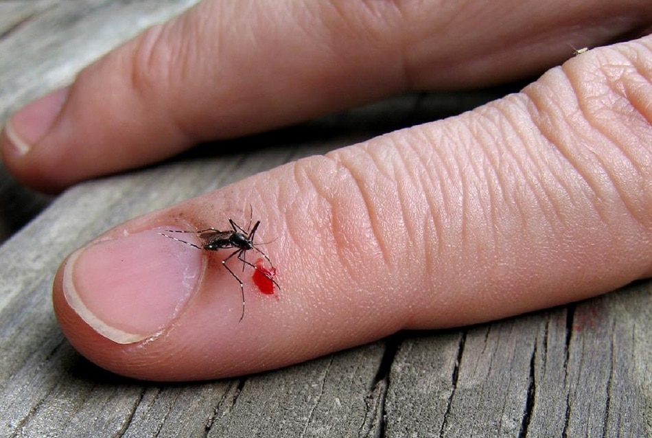 Pankajk78010533's tweet image. #Ghaziabad जिले के #Muradnagar इलाके के अंदर #त्रिमूर्ति_विहार में मच्छरों का आतंक
#नालियां बनने के बाद उसकी सफाई कभी भी नहीं की गई आज तक।
भ्रष्टाचार के मामले में जनता का #खून अधिकारी पी गए।थोड़ा बहुत बचा खून वह #मच्छर_पी रहे हैं। मोहल्ले वासी परेशान। @AMRUTCityGzb @dm_ghaziabad