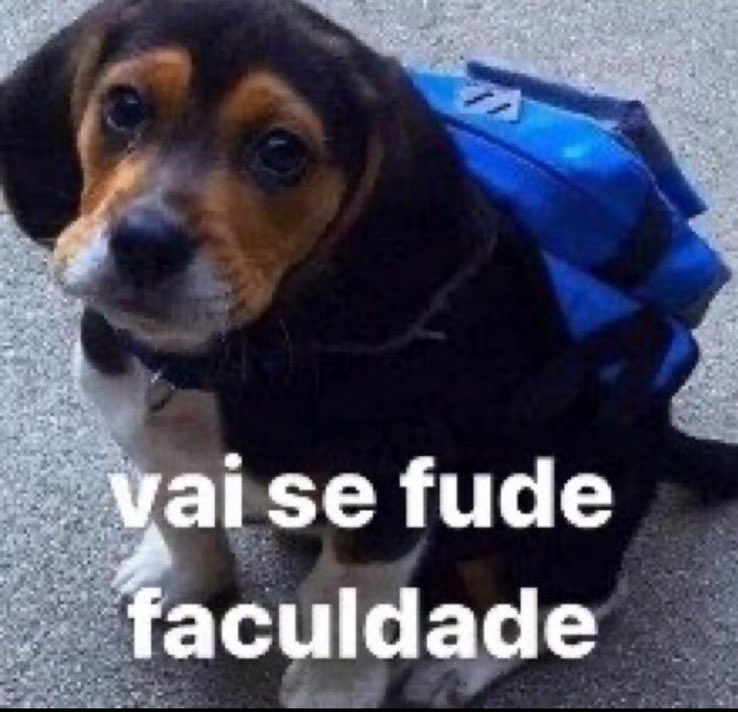 se a terra não é plana como explica o céu reto? (@moreiraviw) on Twitter photo 