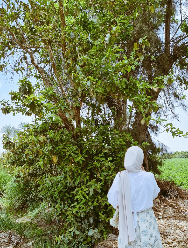 Dec91191's tweet photo. يارب ذكرياتى دايما تبقى سعيده كدا🥺💚 https://t.co/bZ8esbL11e