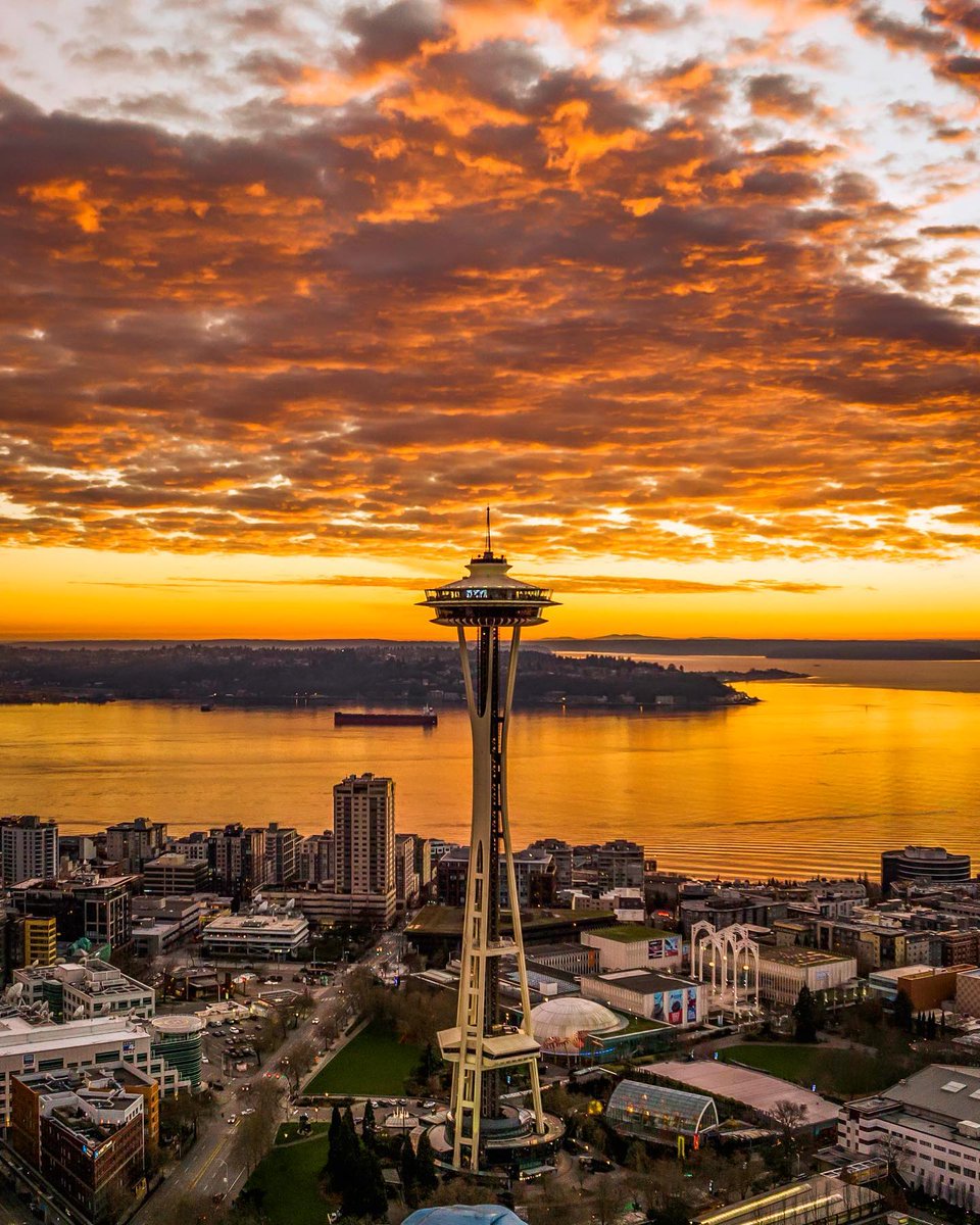 Seattle (@visitseattle) on Twitter photo Looking for more Seattle activities and info? Follow us @visitseattle on all social channels for more travel inspo! #VisitSeattle
β’
π·: @seattle_royalphoenix Looking for more Seattle activities and info? Follow us @visitseattle on all social channels for more travel inspo! #VisitSeattle
β’
π·: @seattle_royalphoenix