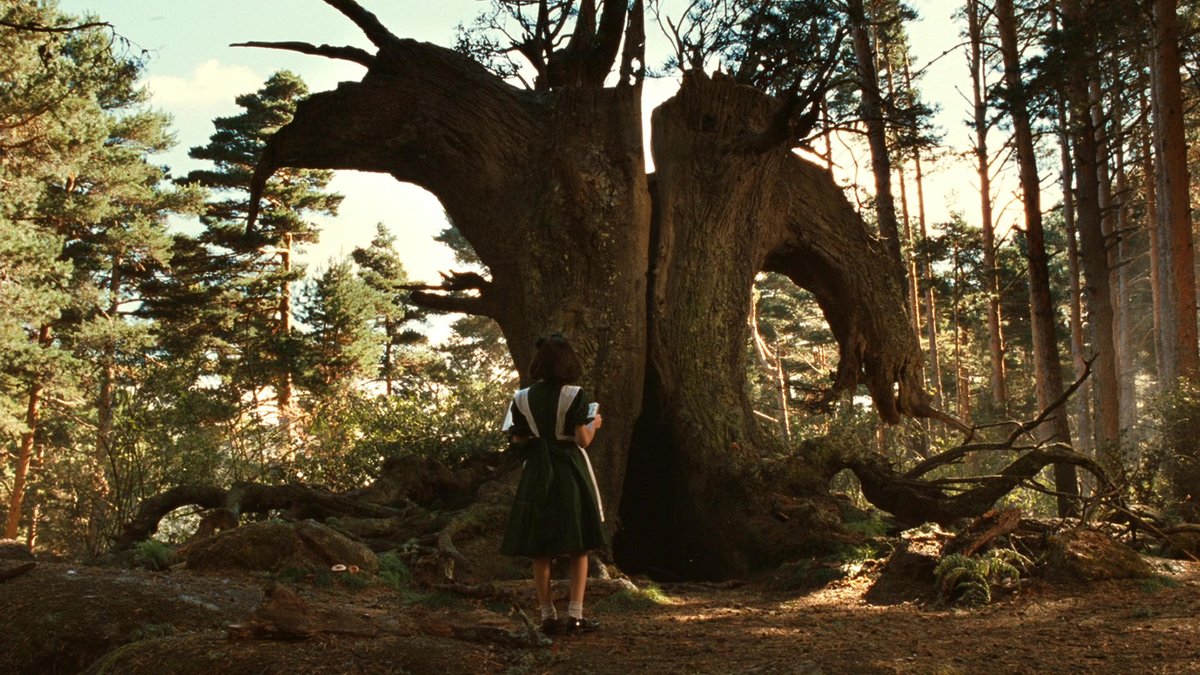 RagtagCinema's tweet photo. ⏪️ WEDNESDAY, APRIL 23 AT 7PM: PAN'S LABYRINTH⁠
⁠
In 1944 Spain, a young girl must complete three tasks to become an immortal princess in a magical land while navigating the ruthless violence of her army officer stepfather in the real world.

🌳 https://t.co/ESW7cre9bR https://t.co/FguM3HTYod