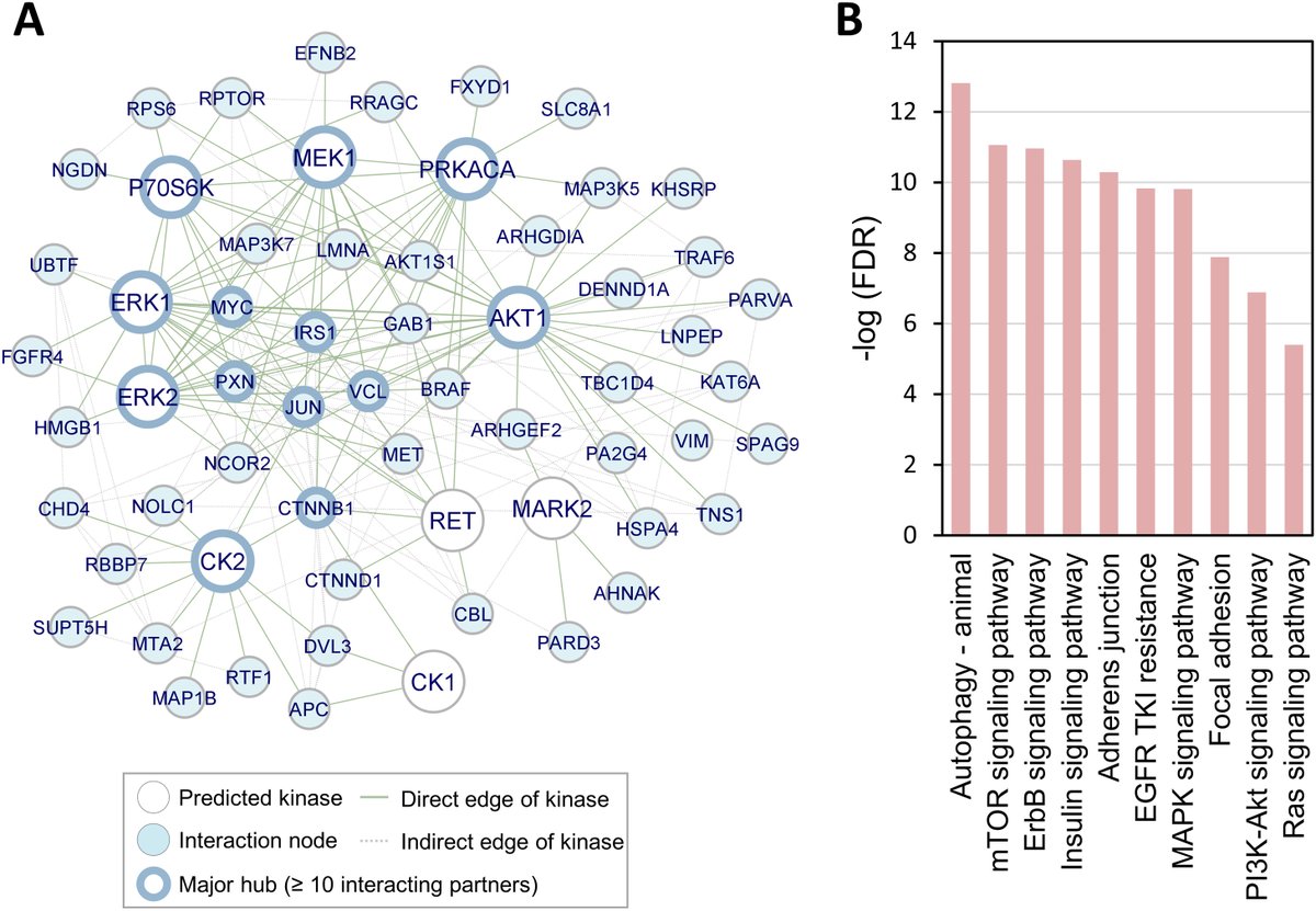 MCP press| Cold Atmospheric Plasma Jet Promotes Wound Healing through CK2-coordinated PI3K/AKT and MAPK Signaling Pathways.
Learn more:
mcponline.org/article/S1535-…