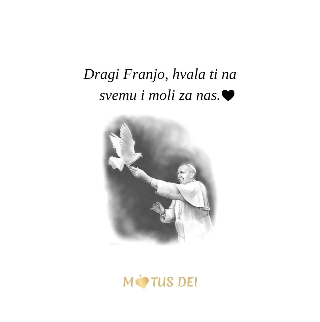 katii2104's tweet photo. 🤍🕊️ https://t.co/2wmy5xVWuo