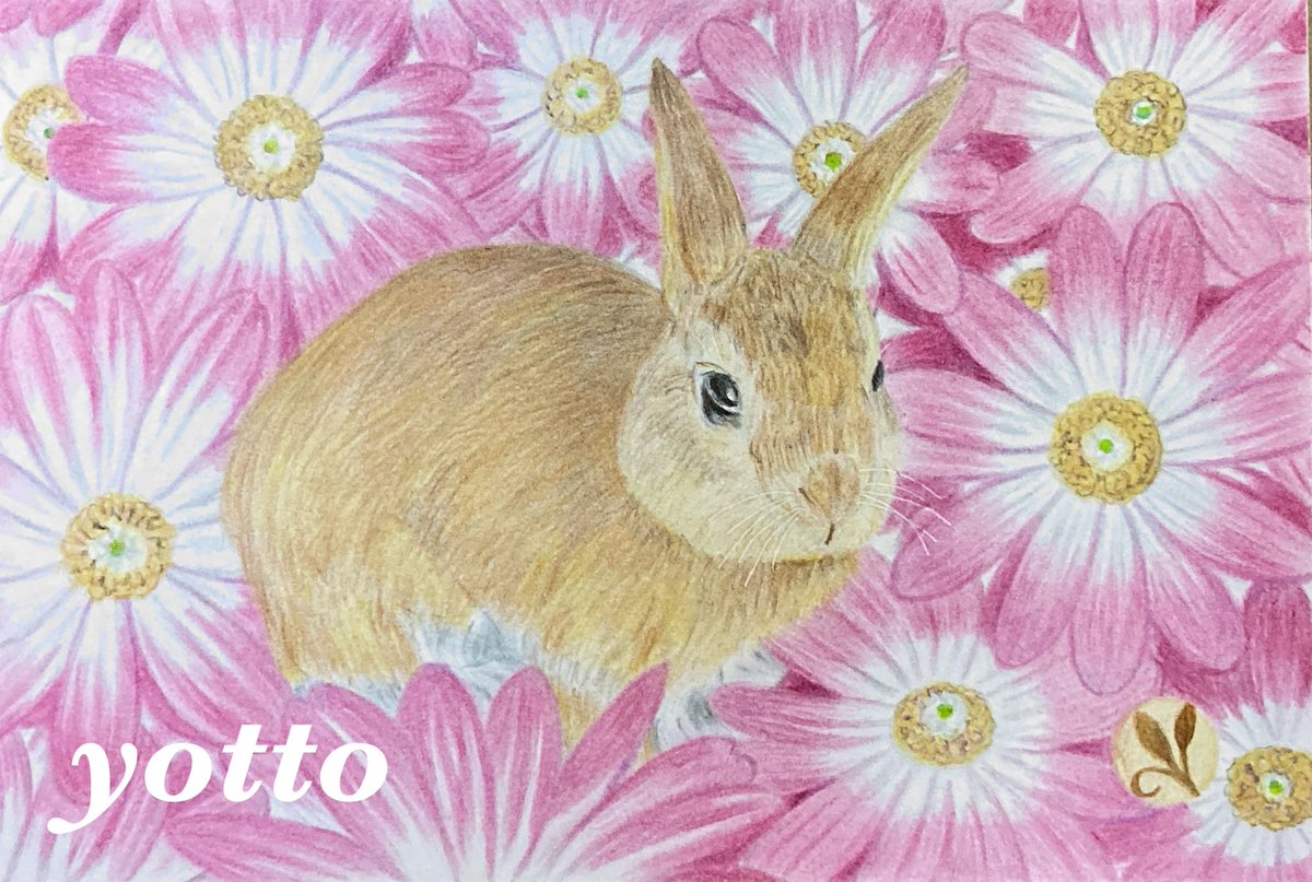 ekakibito2's tweet image. 色鉛筆画【 うさぎ 】
#色鉛筆 #兎

完成しました。

ポストカードサイズの作品になります。

ご覧頂き有難うございます。
　　　　　　　　　　　　　　ー yotto ー

 《 BASE 》 yotto6681.thebase.in