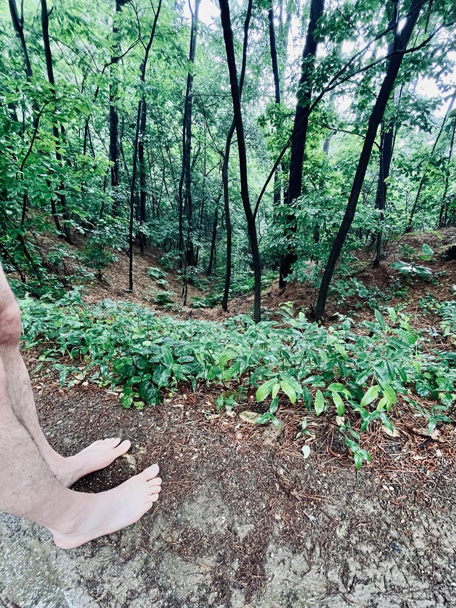 Don’t forget that we are embodied beings who thrive in communion with nature