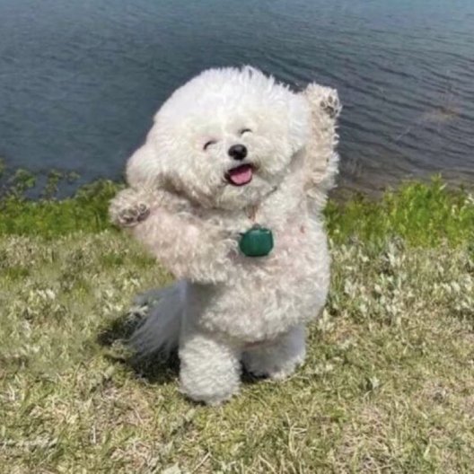 Soulful 7 6 tweet media