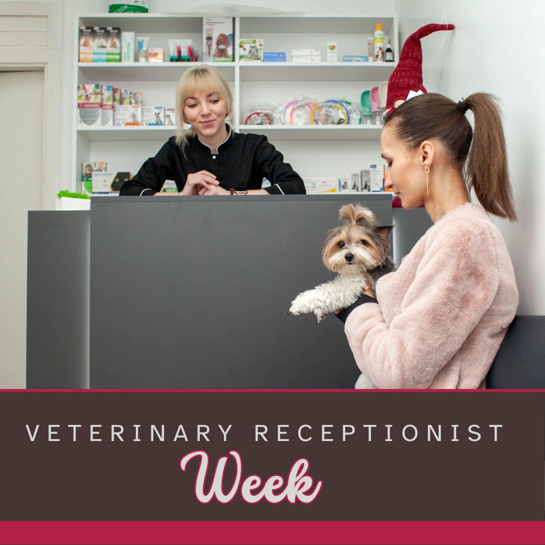 Point Vicente Animal Hospital tweet media