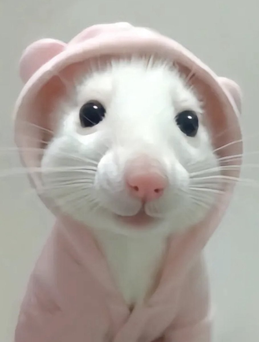 twaniimals's tweet image. 