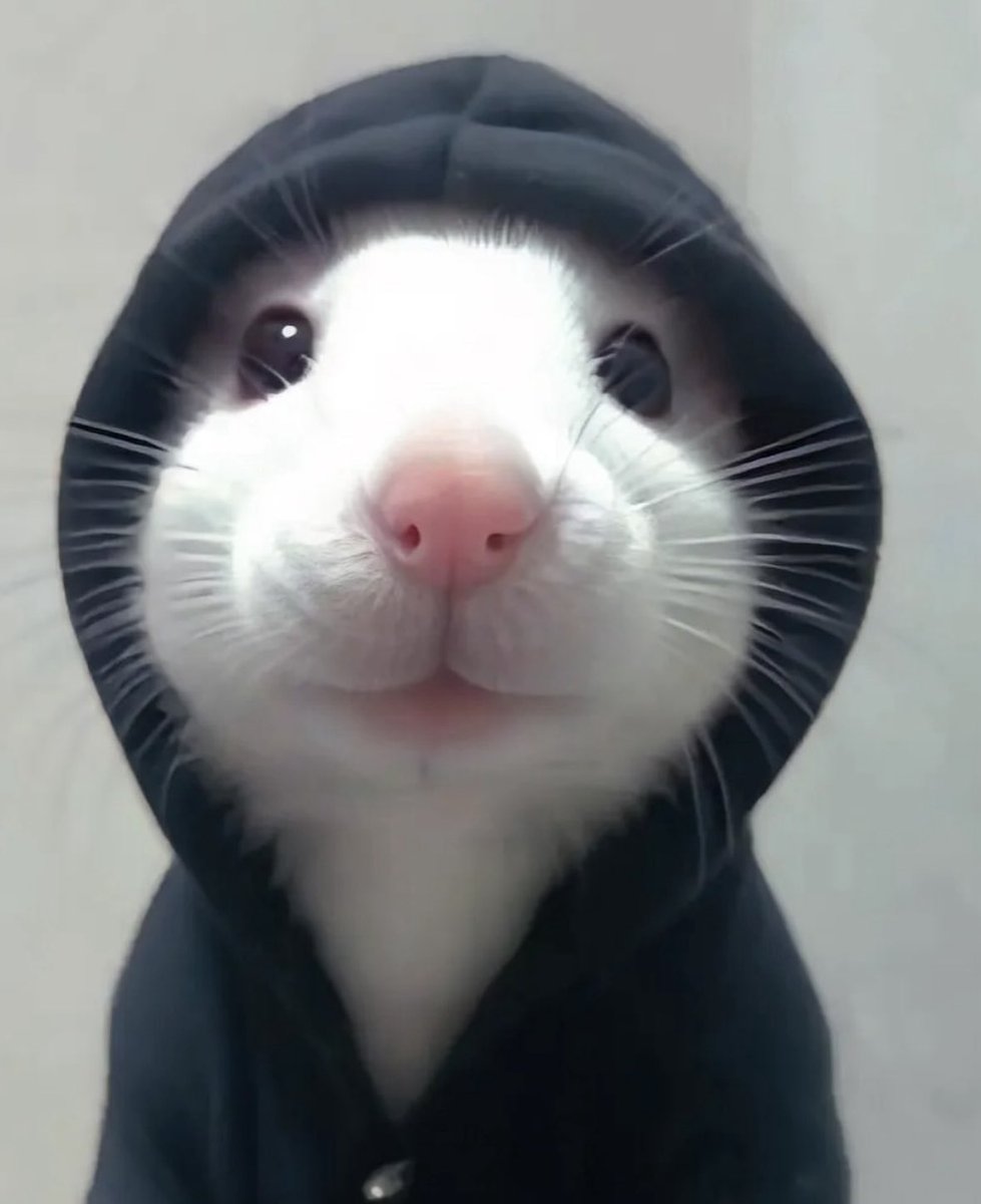 twaniimals's tweet image. 