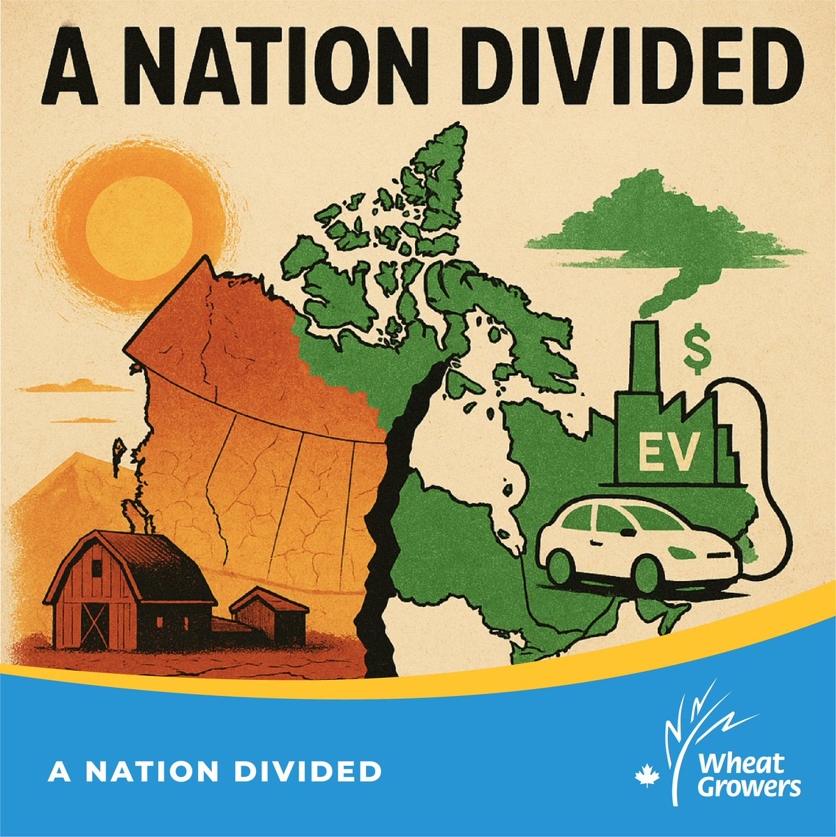 Wheat Growers tweet media