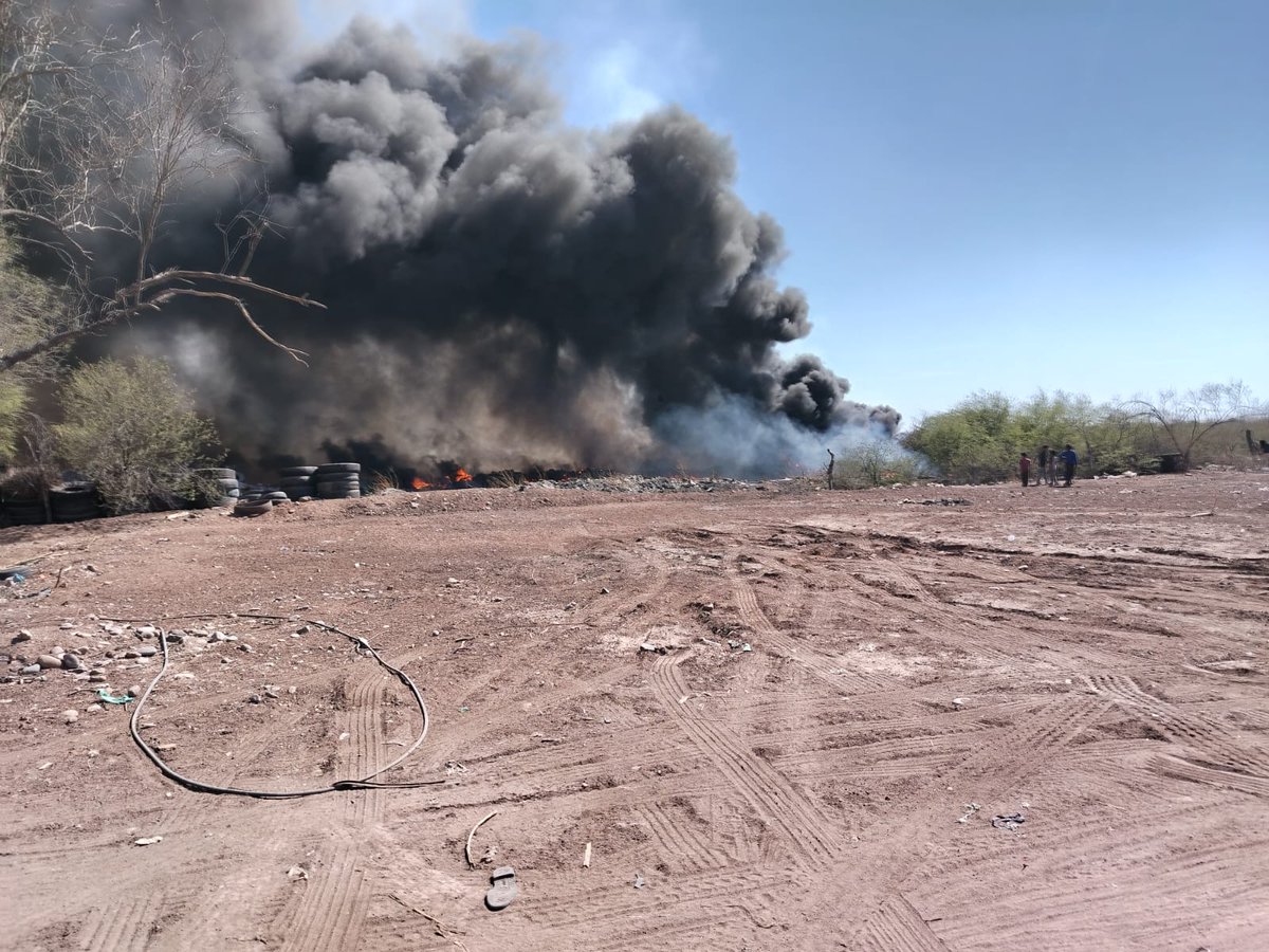 🔴 <a href="/BomberosCajeme/">Jyan Verdejo</a> COMBATEN INCENDIO EN BASURÓN CLANDESTINO 
#𝗗𝗘𝗦𝗣𝗜𝗘𝗥𝗧𝗔𝗦𝗢𝗡𝗢𝗥𝗔 
El Departamento de Bomberos de Ciudad Obregón, bajo la dirección del Comandante Víctor Manosalvas Mena, trabaja en el control de un incendio registrado en un basurón clandestino ubicado