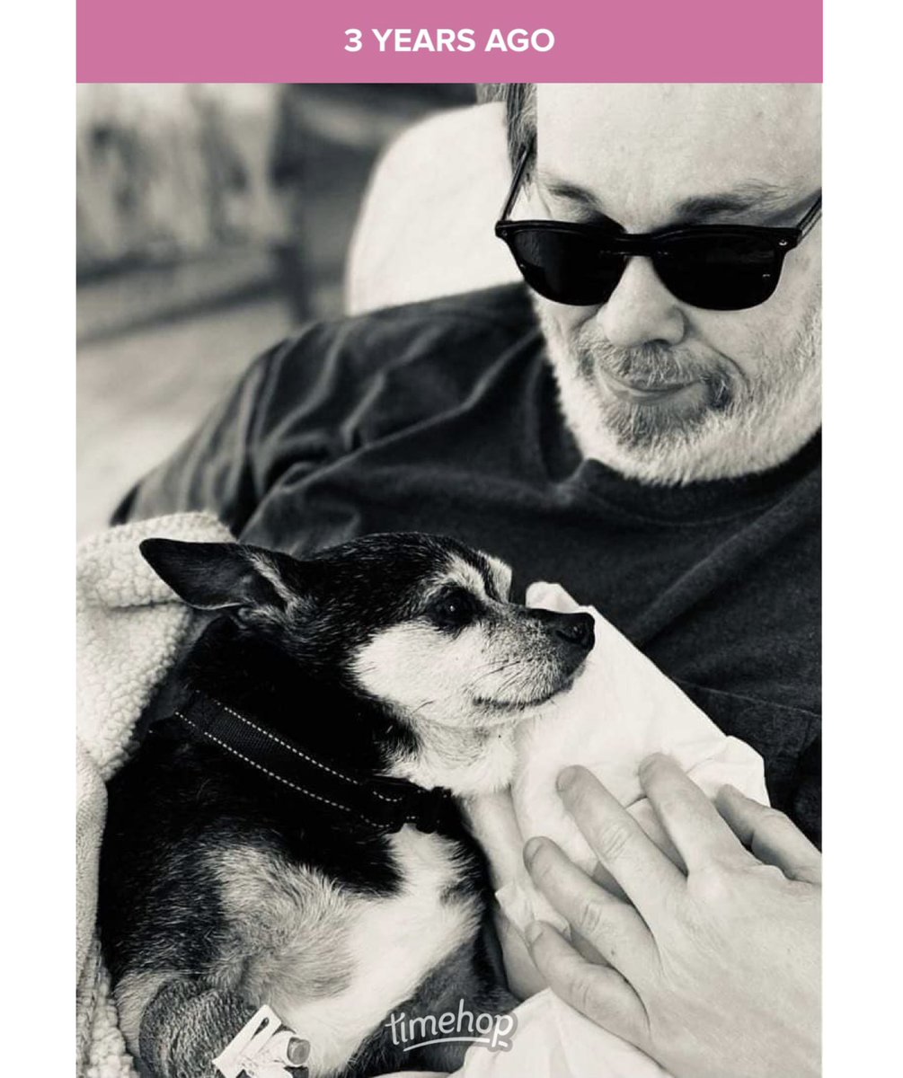SirBudford's tweet photo. I crossed over three years ago today. It doesn’t seem that long because my family talks about me EVERYDAY.

To understand how much they all loved me &amp; how I looked out for for my dad, @TBonesPrimeCuts, please read this piece by my mom, @SilverFoxyWise:

https://t.co/HNlp8Bk0K3 https://t.co/JvLs5or9kI