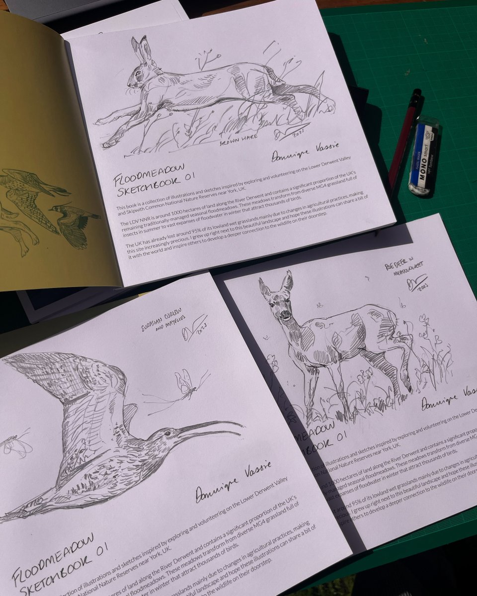 Dominique Vassie tweet media