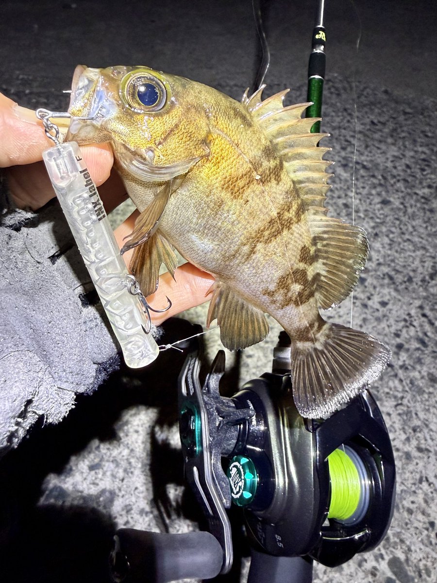 Fishman - 角刈りコマンド JACK HAMMER 1/2oz [Brand New] – JAPAN FISHING TACKLE