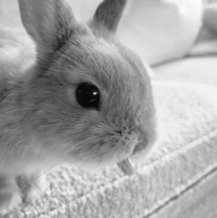 hellhiill's tweet image. 