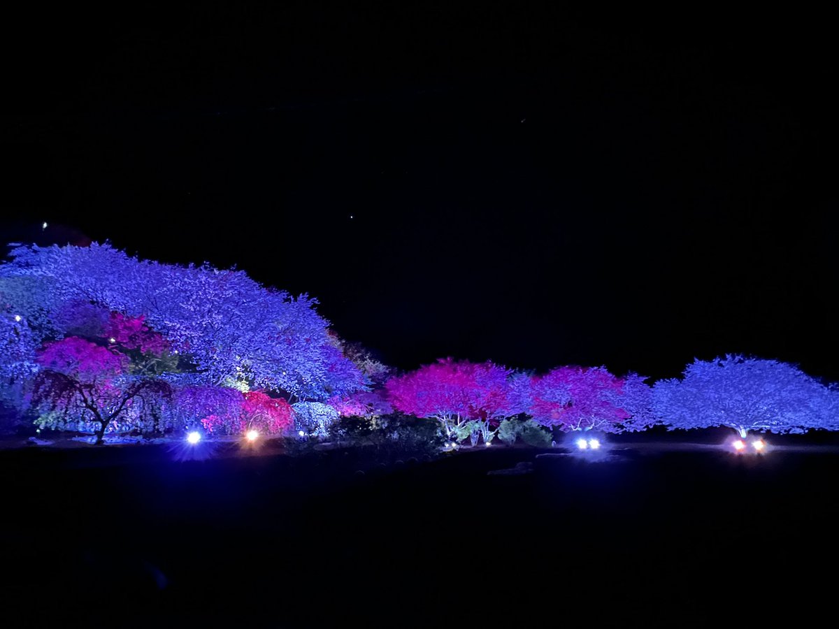 夜花とのコラボが撮りたくてフラフラ走りました😊

#rz34 #フェアレディZ