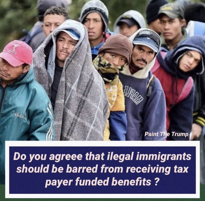 Elephant Signal 🐘🇺🇸 tweet media