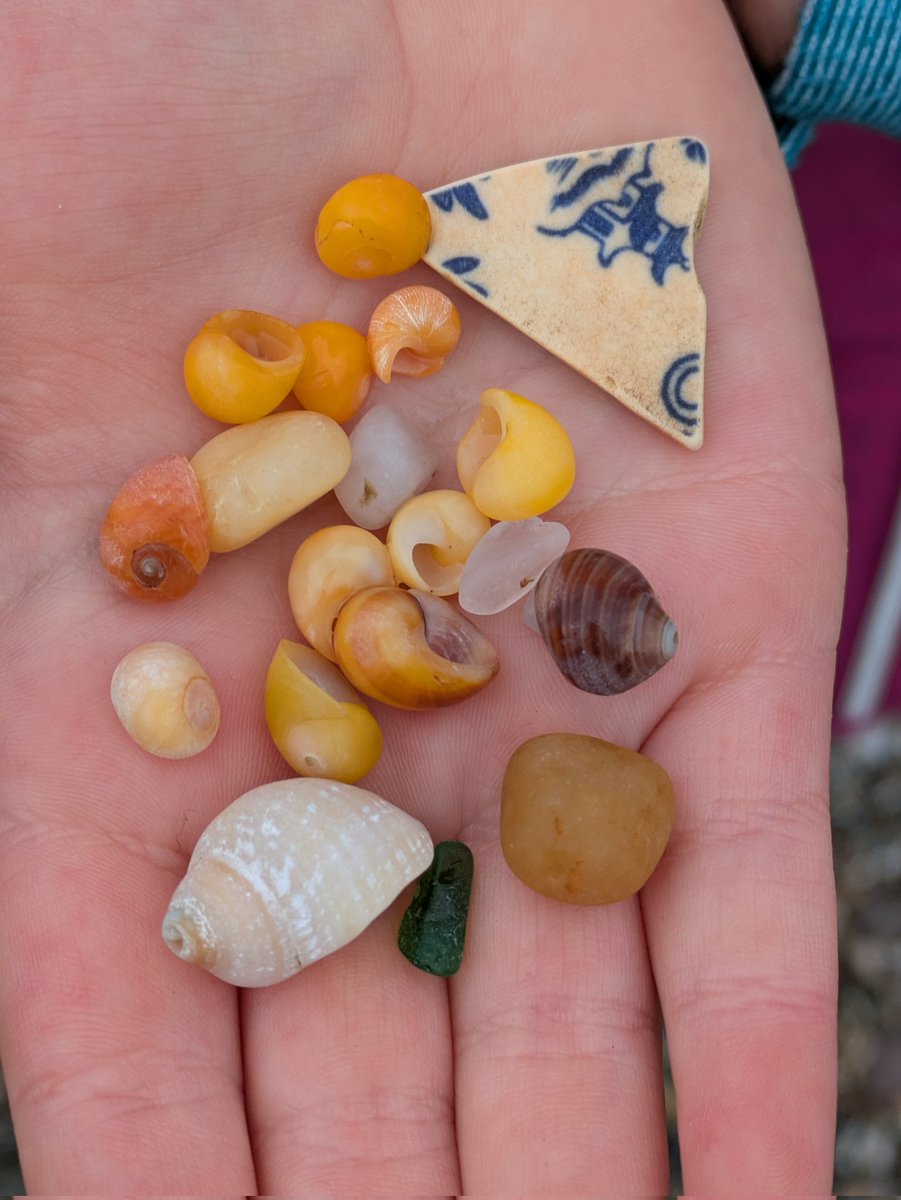 Red_Izzy's tweet photo. Argyll beach treasures. https://t.co/x2qibCOSdS