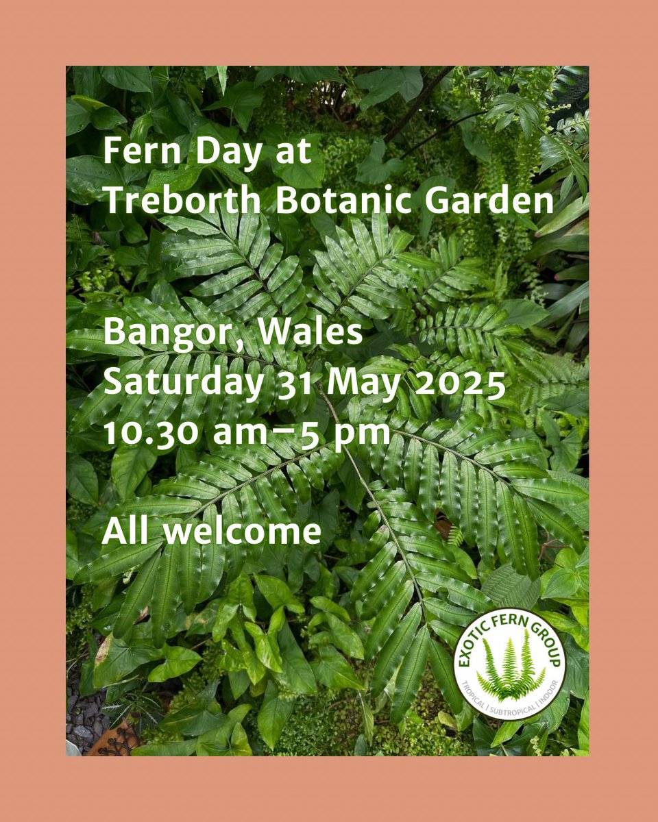 Exotic Fern Group (@exoticferngroup) on Twitter photo 